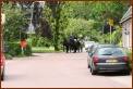935 Willy & Gerard 142 Met de Koets